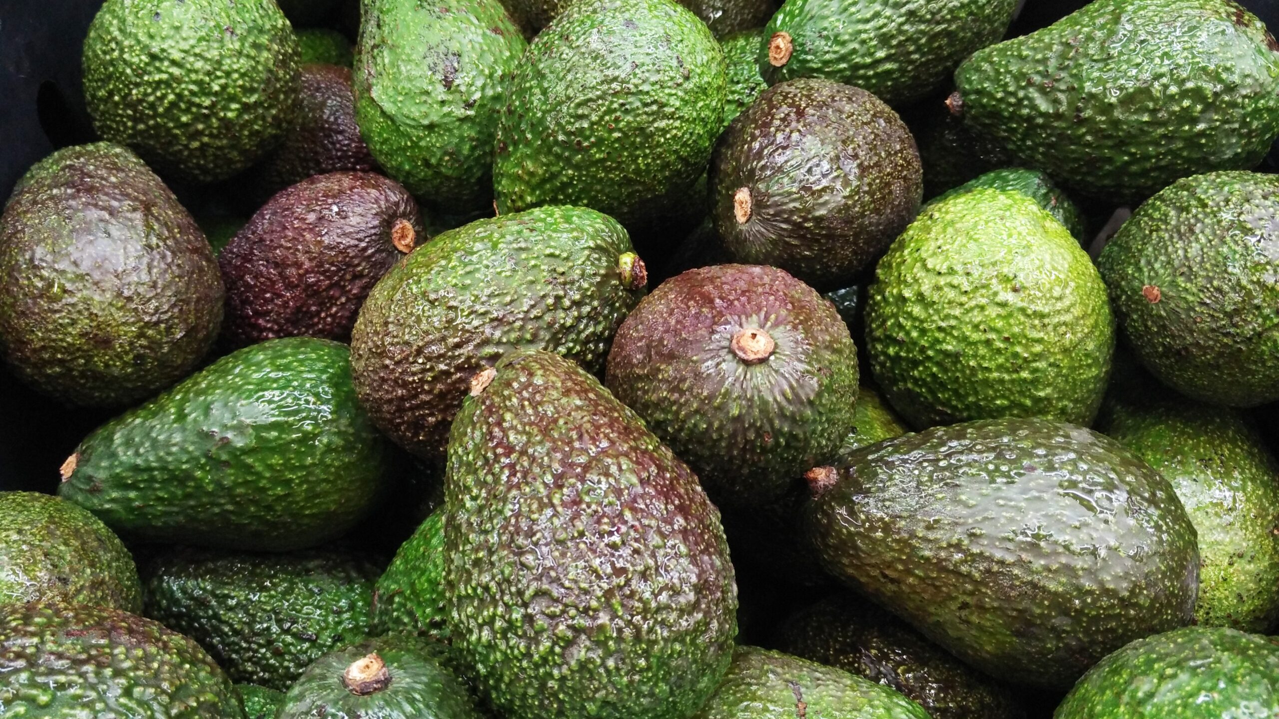 Man Admits To Stealing Avocadoes Worth 2,200 In Court | SonkoNews