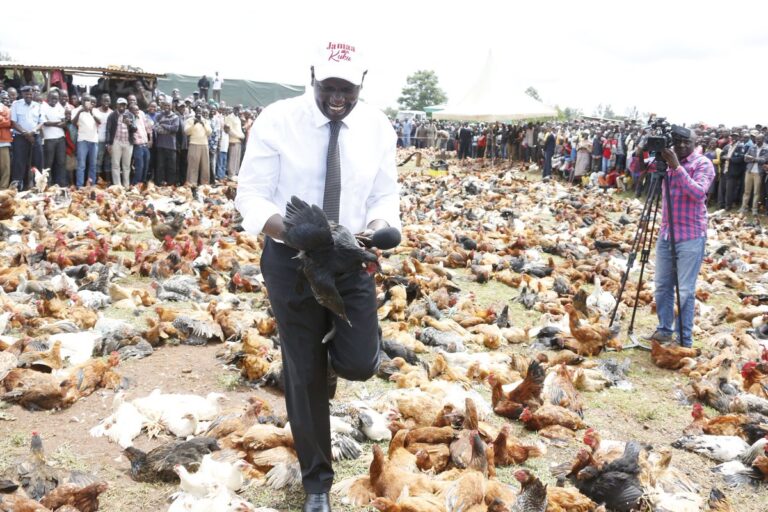 Richest Poultry Farmer In Kenya