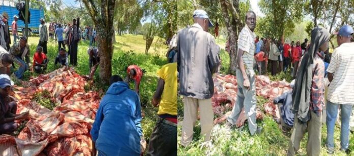 Earth Is Hard- Ruto Allies In Narok Now Bribing Maasais With Raw Meat To Defeat Azimio